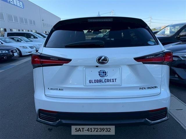 Lexus NX 2020-10 1374825-6