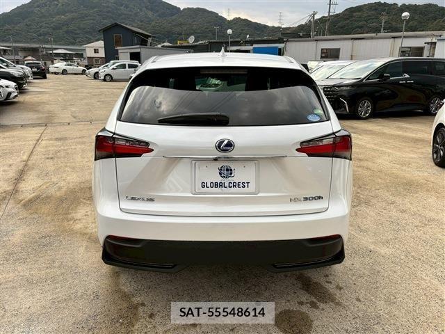 Lexus NX 2016-09 1904450-10