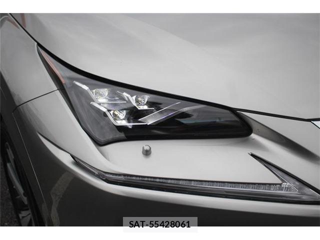 Lexus NX 2020-12 2486770-19