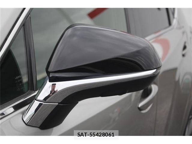 Lexus NX 2020-12 2486770-21