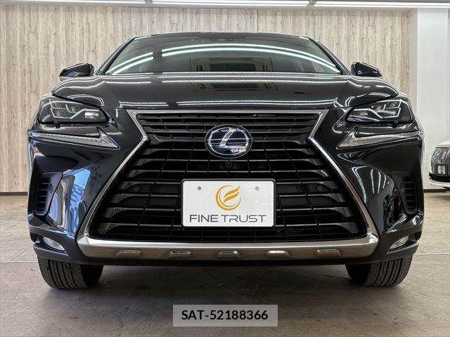 Lexus NX 2017-11 3066413-15