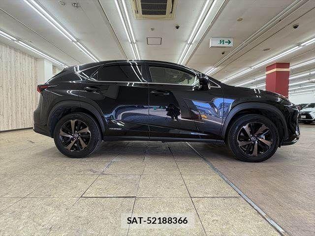 Lexus NX 2017-11 3066413-17