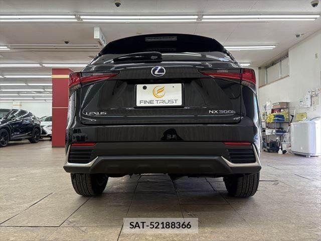 Lexus NX 2017-11 3066413-18
