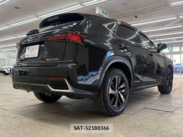 Lexus NX 2017-11 3066413-19