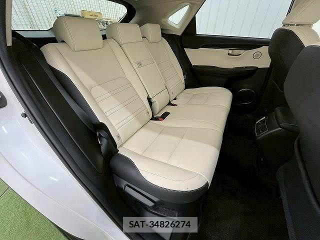 Lexus NX 2019-03 3066411-9