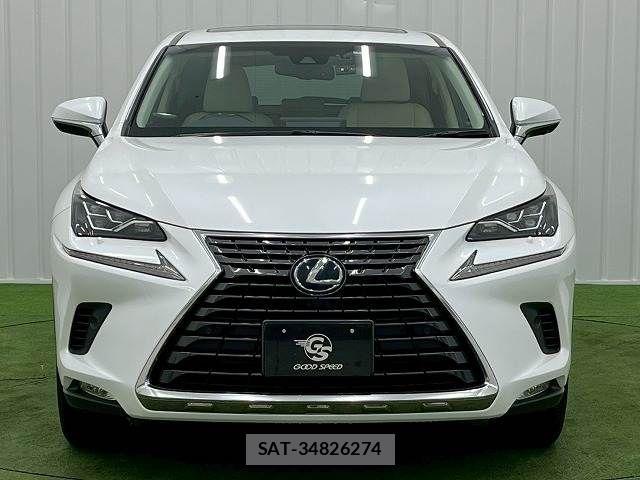 Lexus NX 2019-03 3066411-11