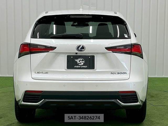 Lexus NX 2019-03 3066411-12