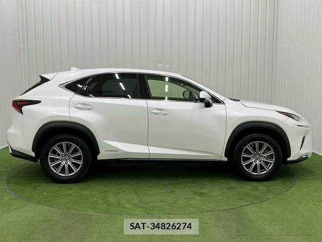 Lexus NX 2019-03 3066411-13