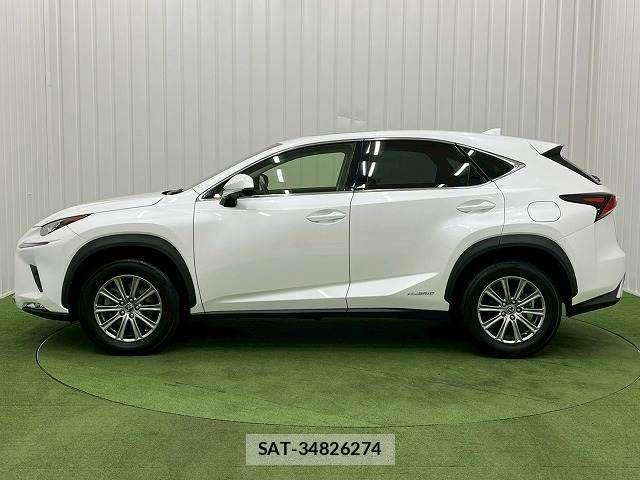 Lexus NX 2019-03 3066411-14