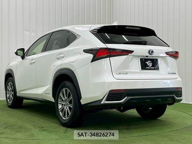 Lexus NX 2019-03 3066411-15