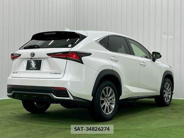 Lexus NX 2019-03 3066411-16