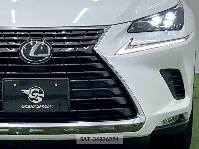 Lexus NX 2019-03 3066411-17