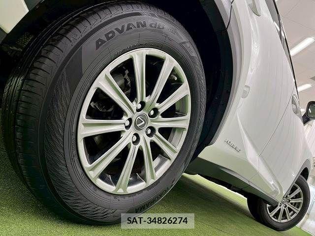 Lexus NX 2019-03 3066411-18