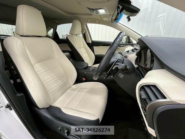 Lexus NX 2019-03 3066411-8