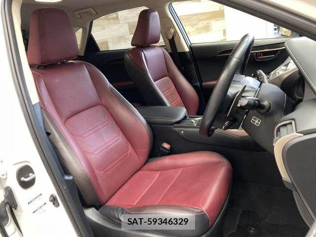 Lexus NX 2019-01 3066406-11