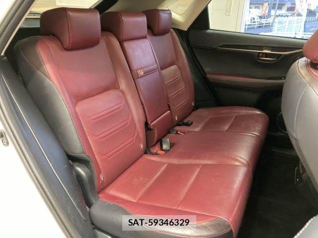 Lexus NX 2019-01 3066406-12