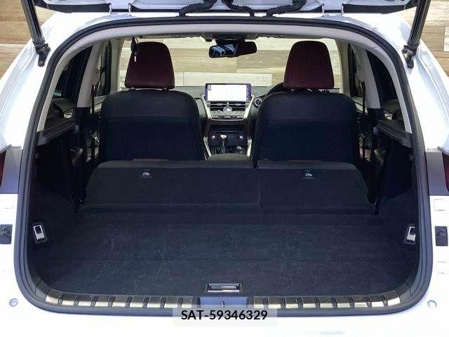 Lexus NX 2019-01 3066406-13