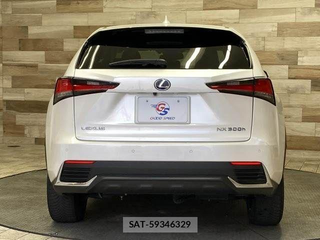 Lexus NX 2019-01 3066406-14