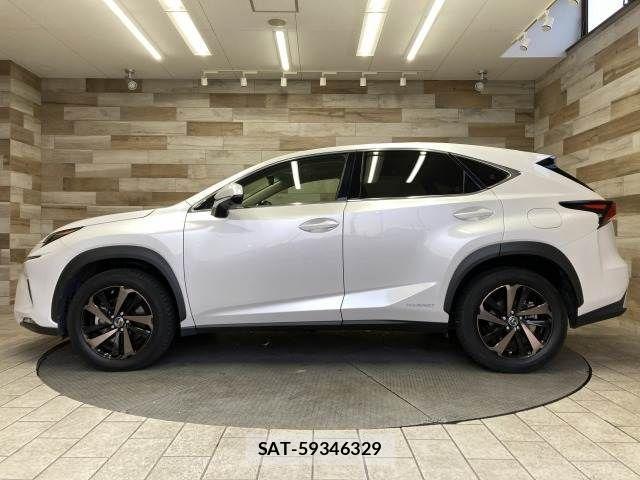 Lexus NX 2019-01 3066406-15