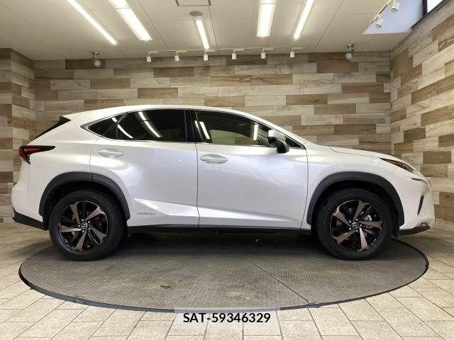Lexus NX 2019-01 3066406-16