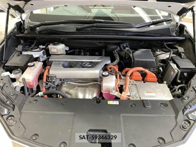 Lexus NX 2019-01 3066406-17