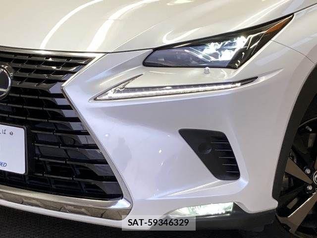 Lexus NX 2019-01 3066406-19