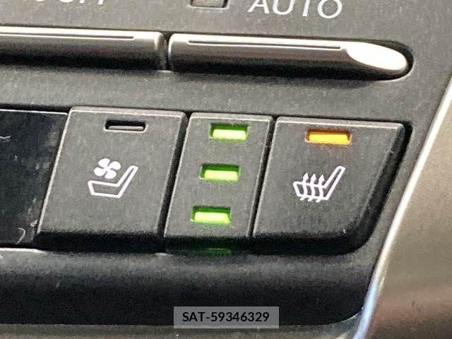 Lexus NX 2019-01 3066406-6