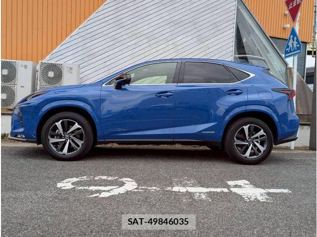 Lexus NX 2020-12 4393174-16