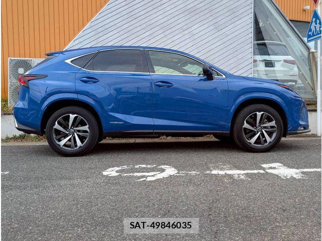 Lexus NX 2020-12 4393174-17