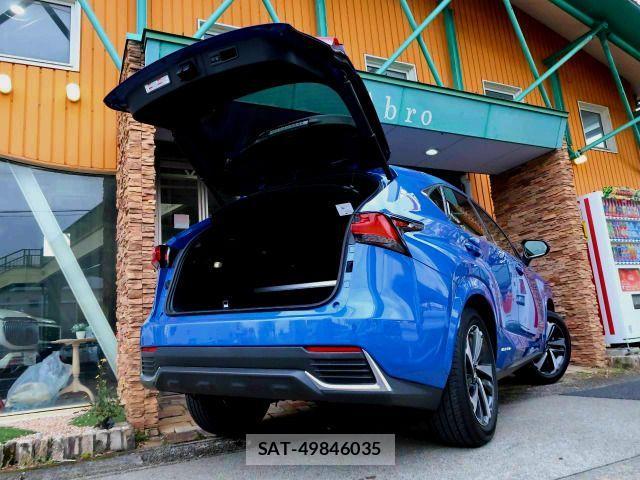 Lexus NX 2020-12 4393174-2