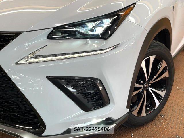 Lexus NX 2019-07 4964640-10
