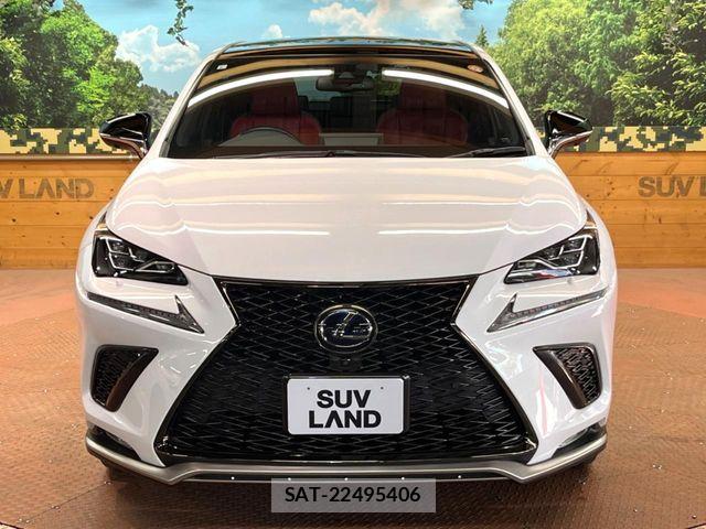 Lexus NX 2019-07 4964640-15
