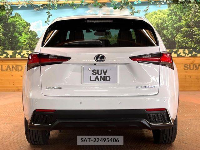 Lexus NX 2019-07 4964640-16