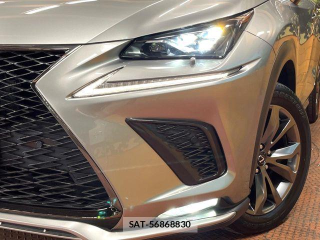 Lexus NX 2019-07 5871018-11