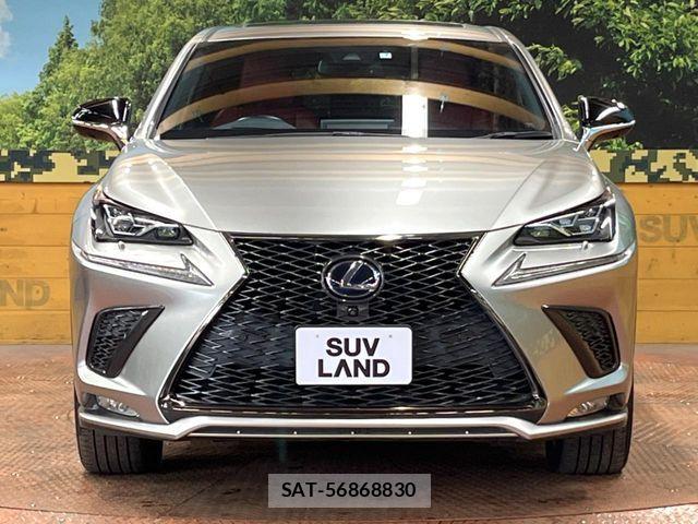 Lexus NX 2019-07 5871018-13