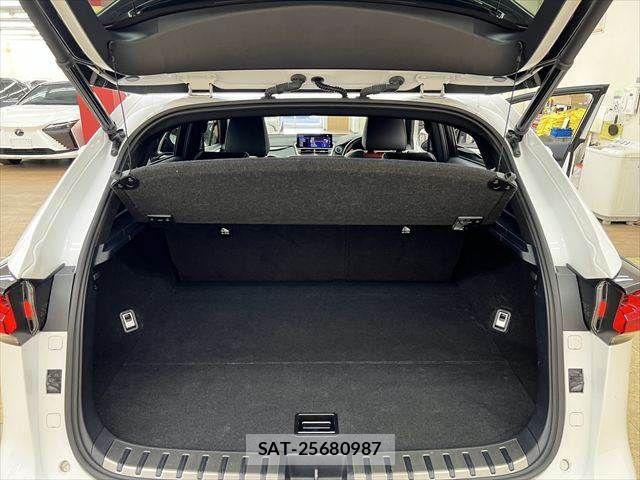 Lexus NX 2019-03 6011724-9