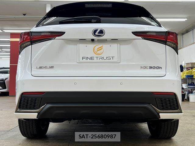 Lexus NX 2019-03 6011724-17