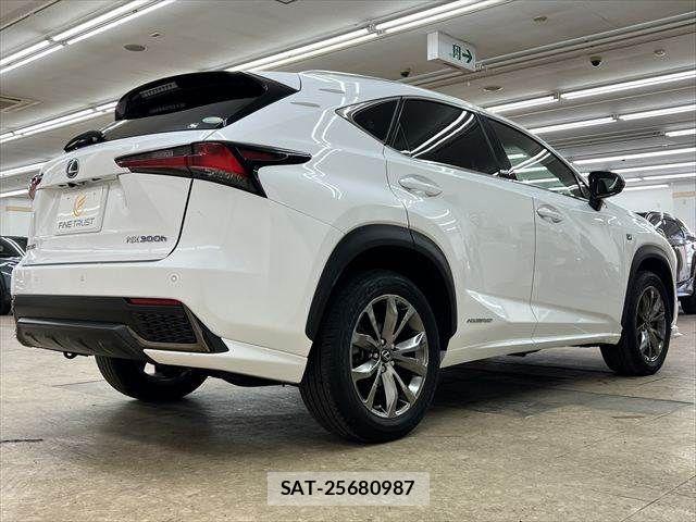Lexus NX 2019-03 6011724-18
