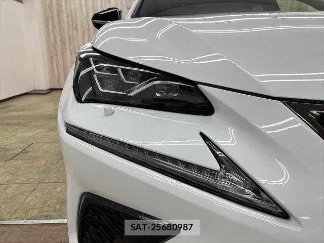 Lexus NX 2019-03 6011724-23