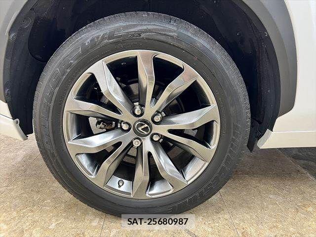 Lexus NX 2019-03 6011724-27