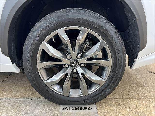 Lexus NX 2019-03 6011724-28
