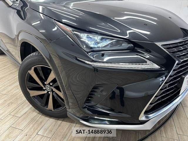 Lexus NX 2021-05 6011713-19
