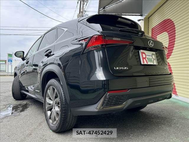 Lexus NX 2021-07 6011720-4