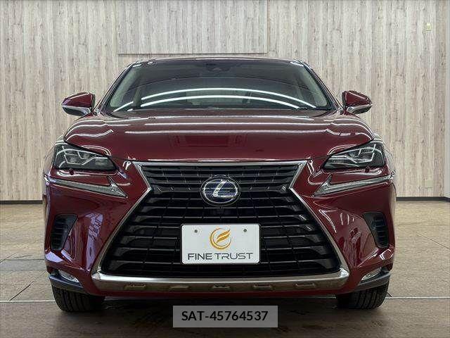 Lexus NX 2017-12 6011740-12