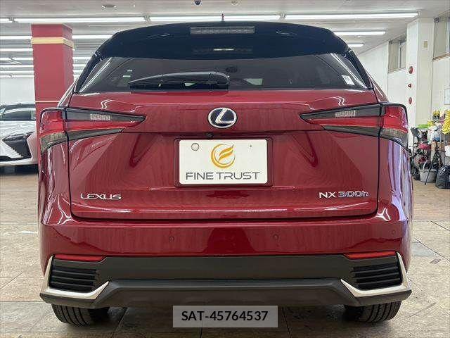 Lexus NX 2017-12 6011740-15