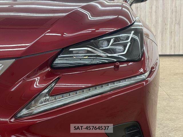 Lexus NX 2017-12 6011740-19