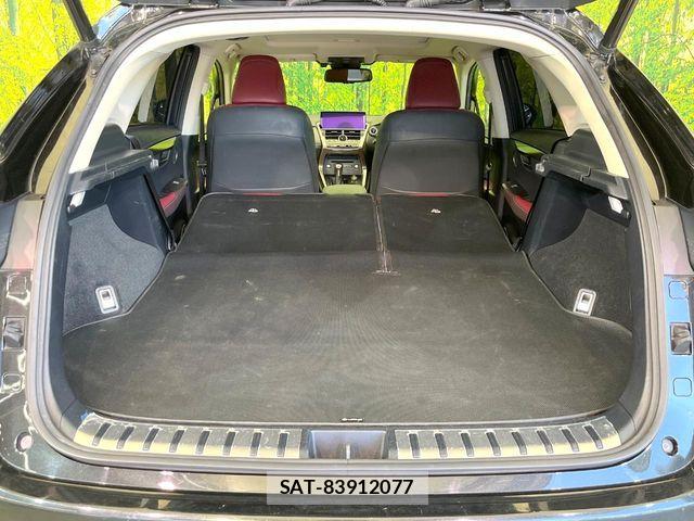Lexus NX 2017-09 6216432-9
