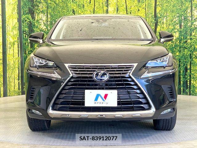 Lexus NX 2017-09 6216432-13