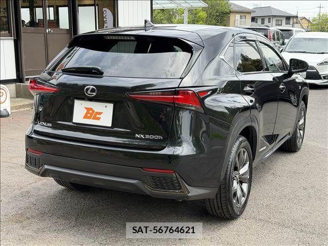 Lexus NX 2018-02 6612894-23