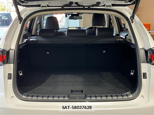 Lexus NX 2018-12 6612892-17